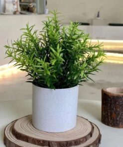 Artificial plants with pots for table (2)