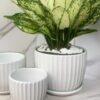 Ceramic plant pot (1)