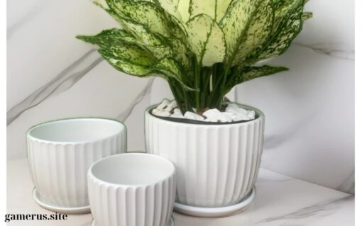 Ceramic plant pot (1)