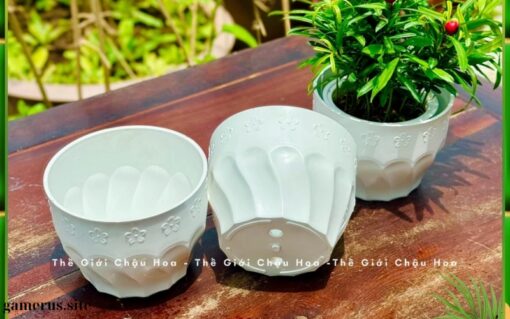 Mini flower pot for table (1)