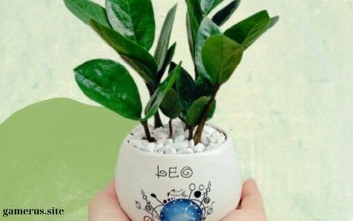 Money Tree for desk (2)