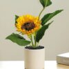 Sunflower Plant Ceramic Pot Decor (1)